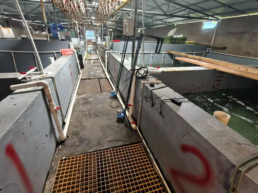 海源生物编号池塘与通道现场
