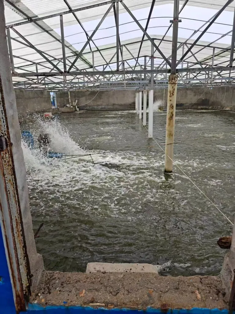 海源生物大塘曝气作业现场全景