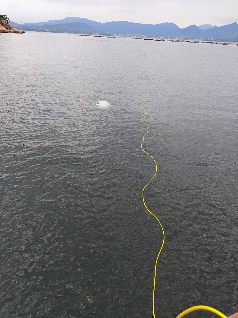 黄色缆控线在海面延伸至水下机器人