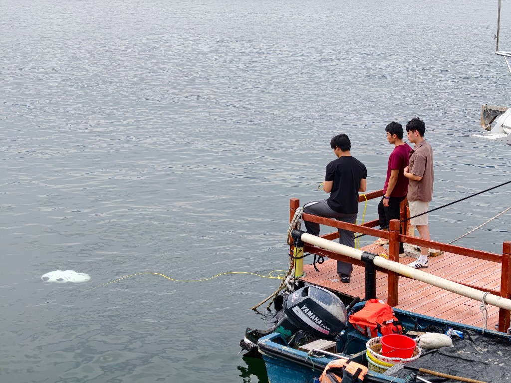 团队在码头观测海面水下机器人