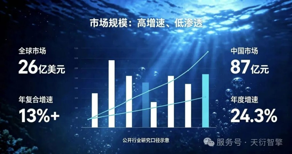 市场规模:高增速、低渗透